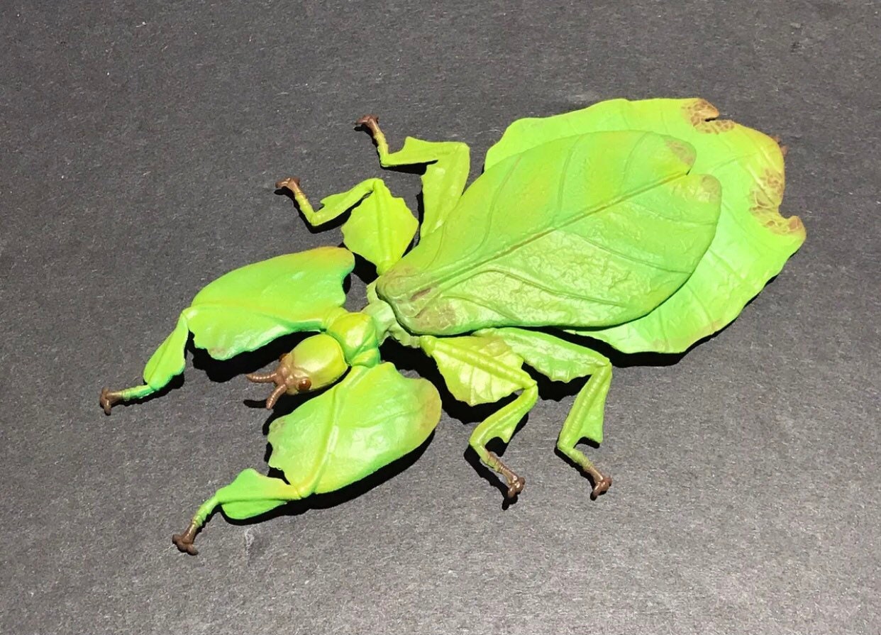 Malaysian Giant Leaf Insect PVC Figure