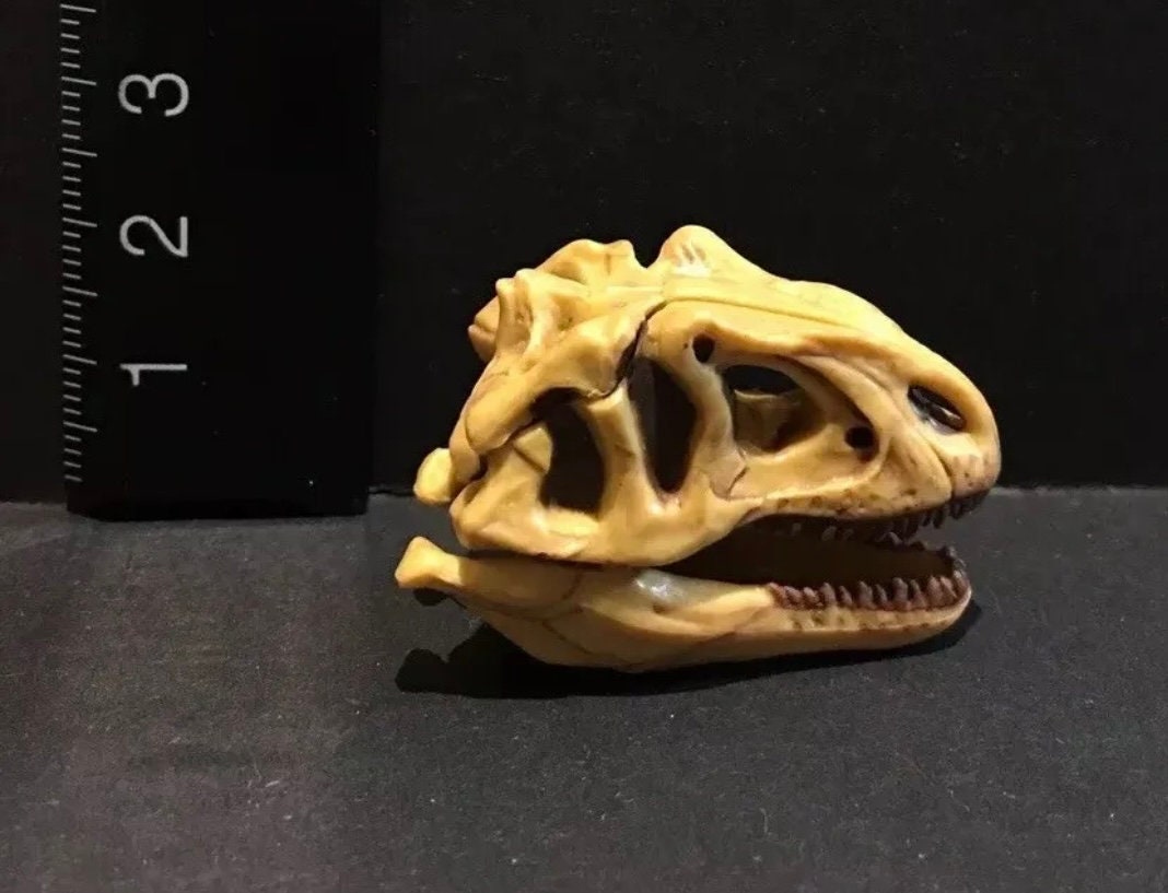 Vintage Kaiyodo Series 2 Allosaurus Skull Skeleton Dinosaur Dinotales Plastic Miniature Figure