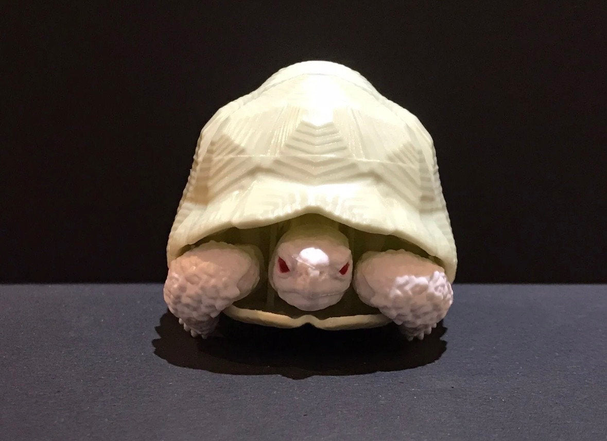 Realistic Indian Star Tortoise Turtle Model Plastic Figure with Movable legs and head Albino White Color