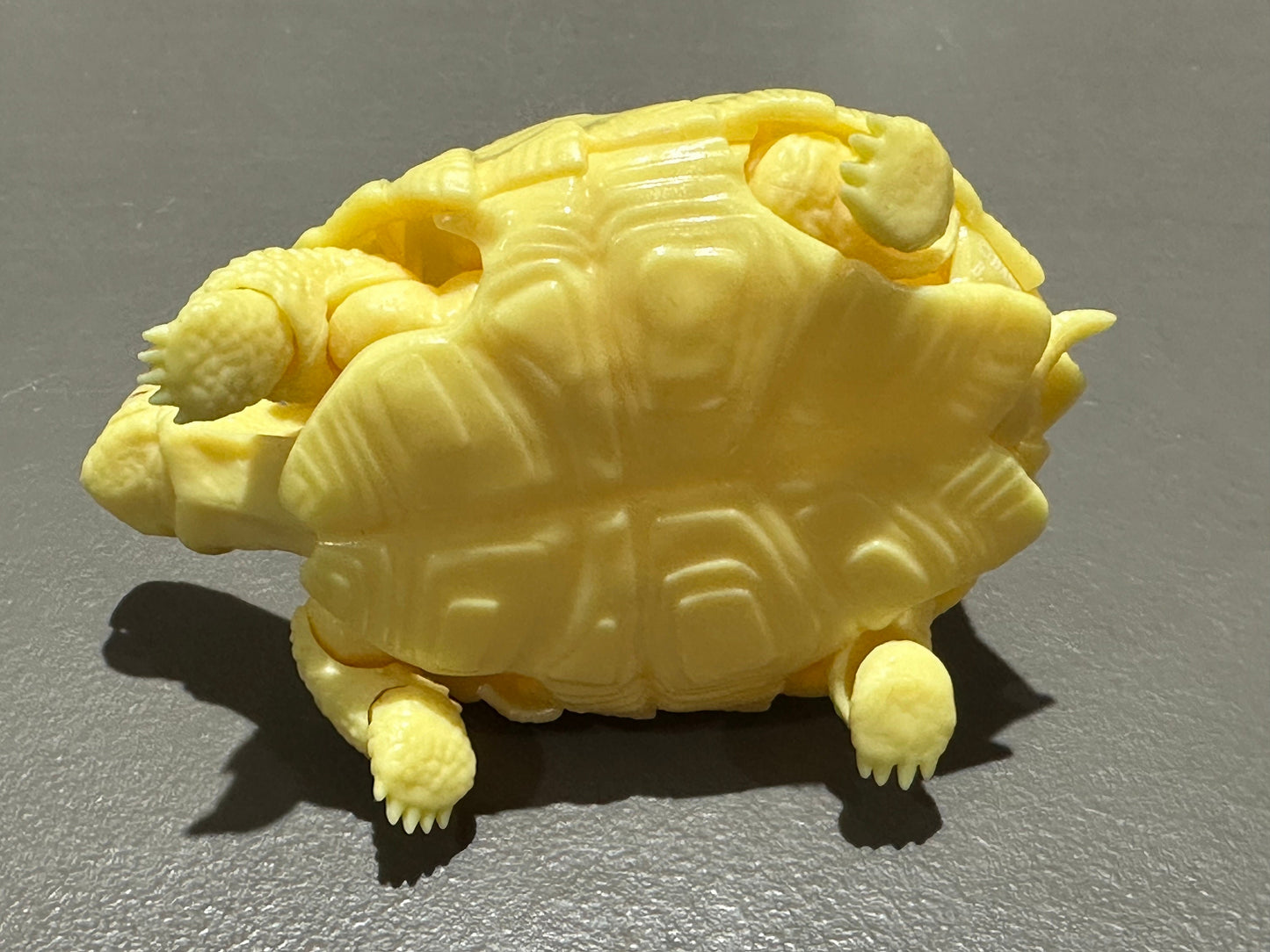 Realistic Radiated Star Tortoise Turtle Model Plastic Figure with Movable legs and head