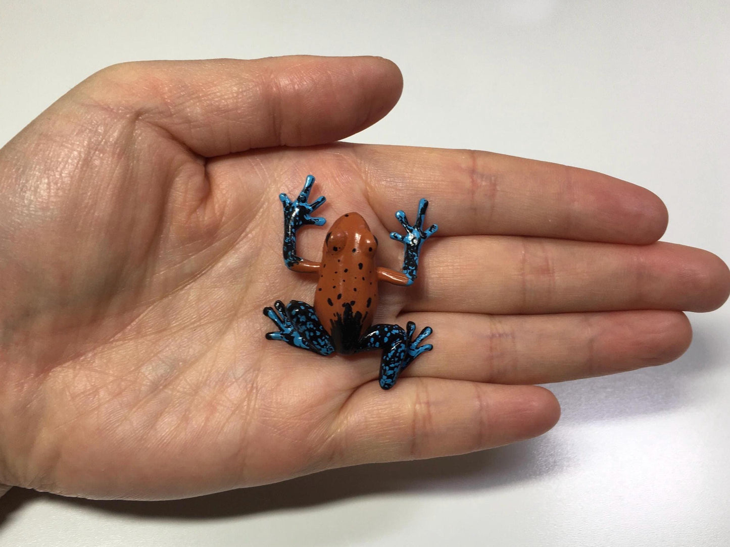 Colorata Strawberry Poison Frog Toad PVC Figure