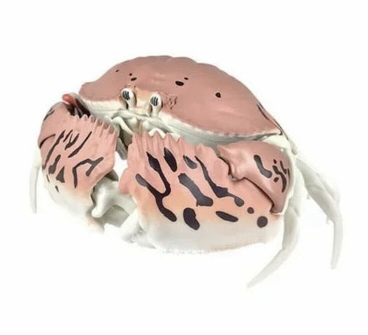 Plastic Ocean Box Crab Figure w/Moving Joints Parts