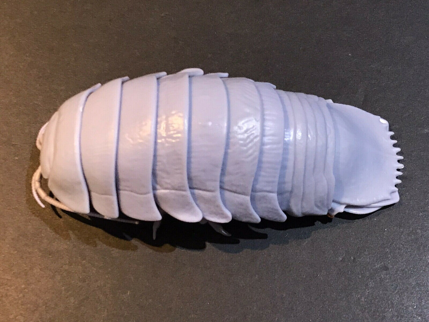 Plastic Pill Bug Roly Poly Insect Potato Bug ISOPOD Figure w/Moving Parts - GREY GRAY Color 14cm