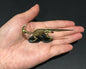Vintage Kaiyodo Parasaurolophus Skeleton Dinosaur Dinotales Plastic Miniature Figure
