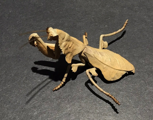 Brown Leaf Praying Mantis PVC Figure