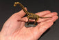 Vintage Kaiyodo Series 2 Brachiosaurus Skeleton Dinosaur Dinotales Plastic Miniature Figure