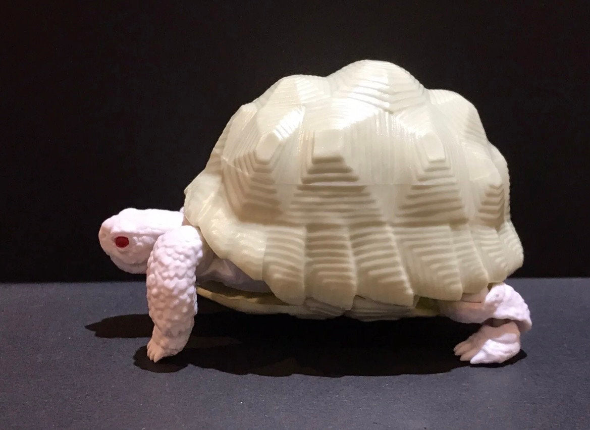 Realistic Indian Star Tortoise Turtle Model Plastic Figure with Movable legs and head Albino White Color