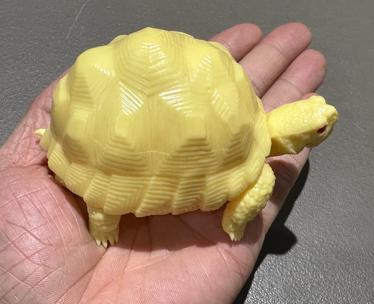 Realistic Radiated Star Tortoise Turtle Model Plastic Figure with Movable legs and head