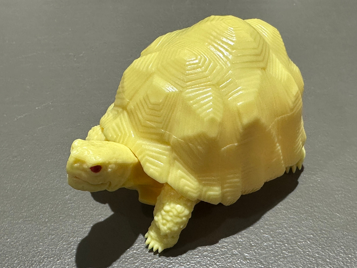 Realistic Radiated Star Tortoise Turtle Model Plastic Figure with Movable legs and head