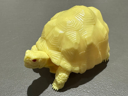 Realistic Radiated Star Tortoise Turtle Model Plastic Figure with Movable legs and head