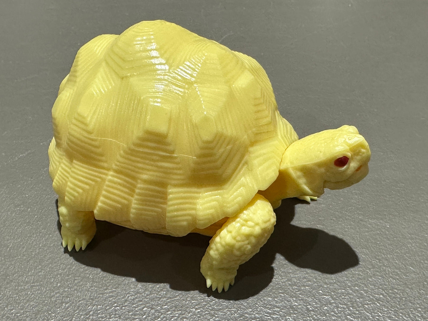 Realistic Radiated Star Tortoise Turtle Model Plastic Figure with Movable legs and head