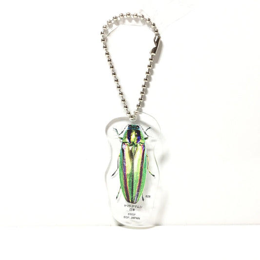 Jewel Yamato Ball Beetle Acrylic Keychain Key Holder