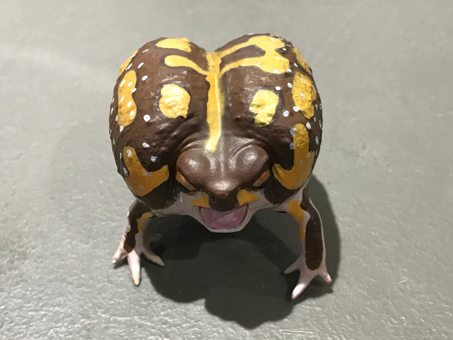 Realistic African Bushveld Rain Frog Plastic Full Color Figure
