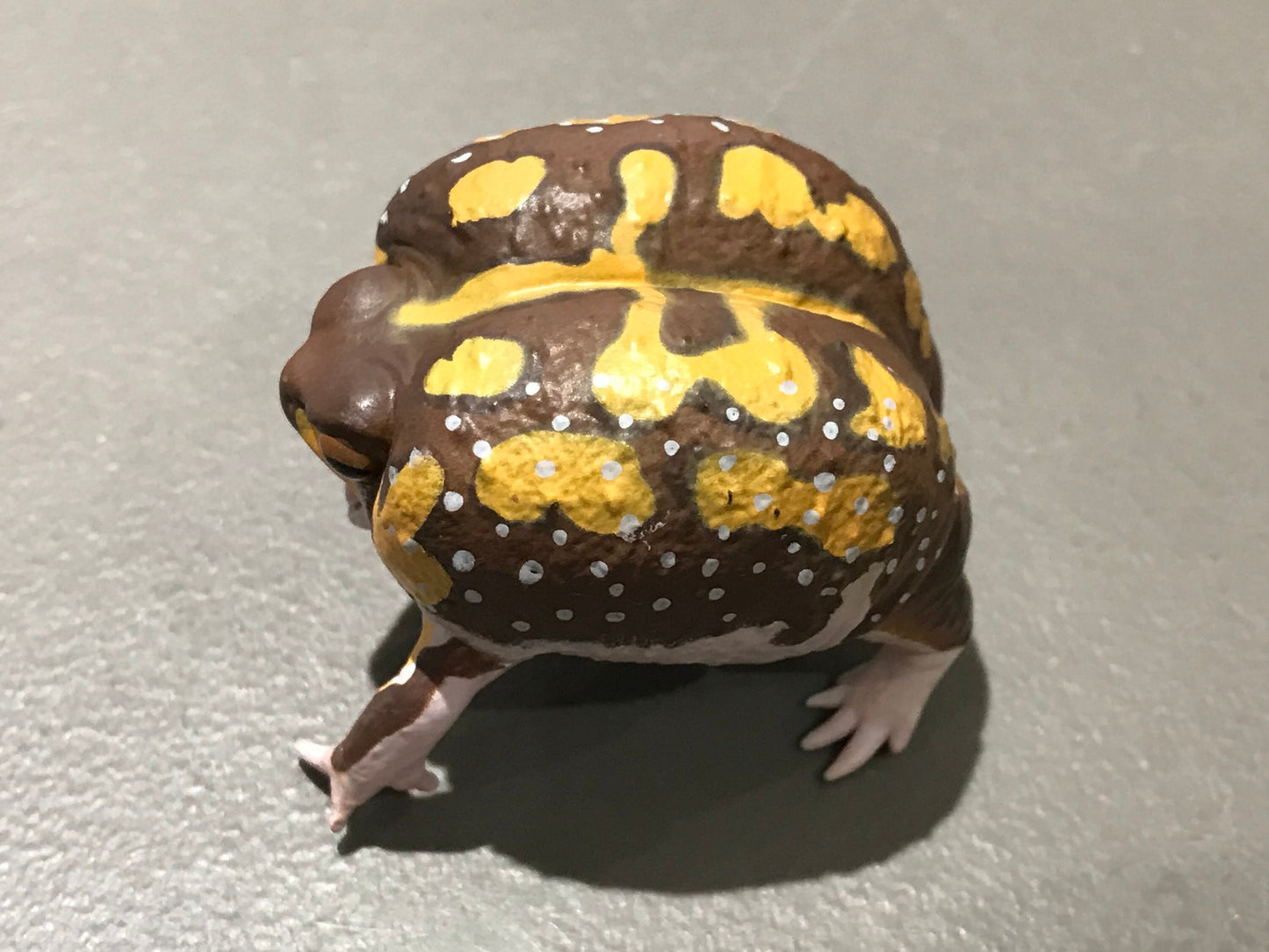 Realistic African Bushveld Rain Frog Plastic Full Color Figure