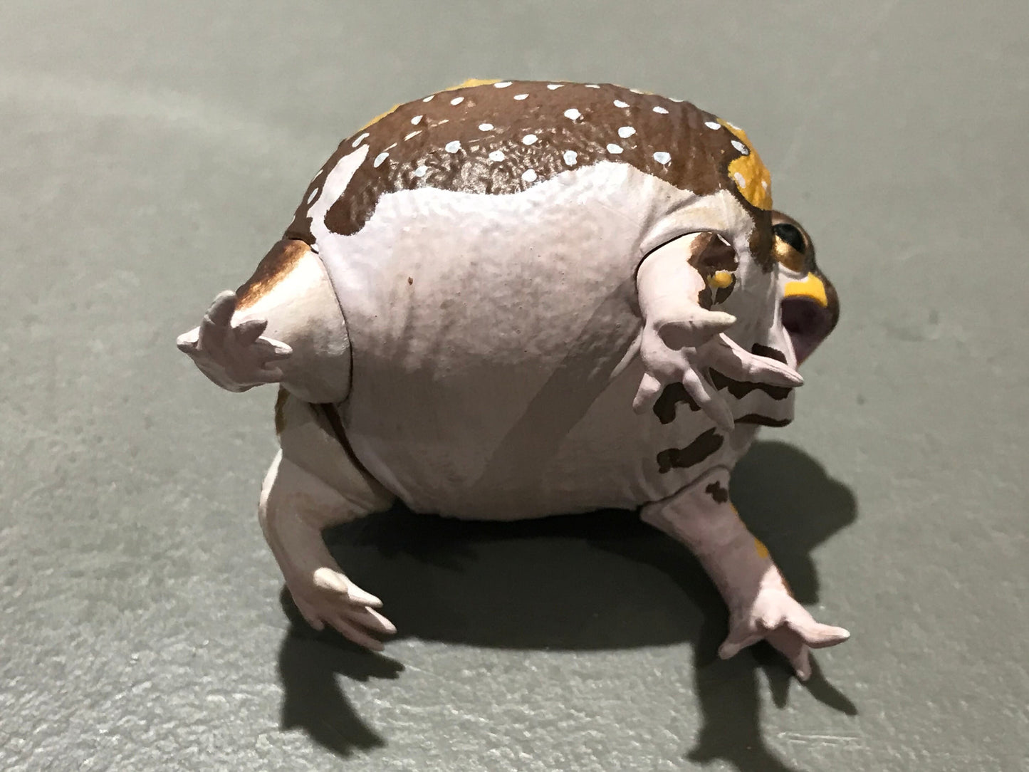 Realistic African Bushveld Rain Frog Plastic Full Color Figure