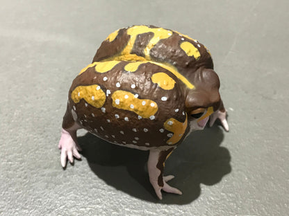Realistic African Bushveld Rain Frog Plastic Full Color Figure