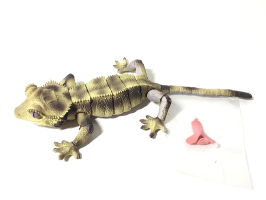 ADVANCE Paternless Bicolor Crested Gecko Figure C 16 cm w/ Movable Joints