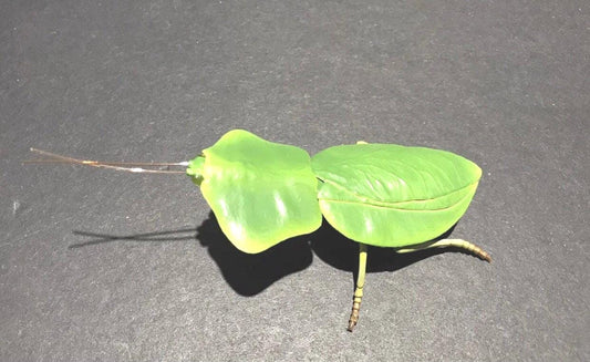 Hooded Green Praying Mantis PVC Figure